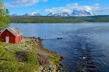 A red house lost in the Lofoten islands, Norway.