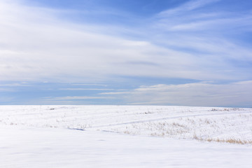 Fototapeta na wymiar Snow Covered Winter Field Background