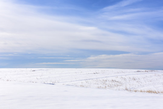 Snow Covered Winter Field Background