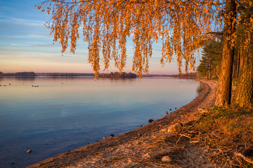 Gold autmn sunset at Minsk sea beach (Zaslavl Reservoir), Minsk, Belarus.