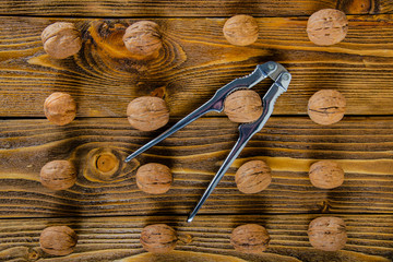 Fototapeta na wymiar Walnuts laid out in rows, on a wooden surface.Top view.