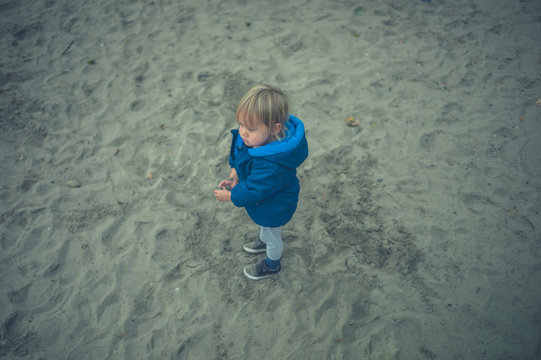 Little toddler on the beach in autumn