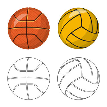 Vector illustration of sport and ball sign. Collection of sport and athletic stock vector illustration.