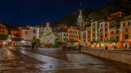 Portofino and the Christmas Tree by night