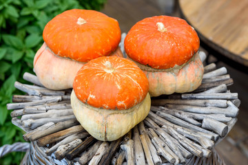 Small decorative pumpkins