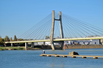 Fototapeta na wymiar Pont suspendu sur la Saône.