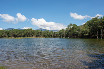 The bassa lake of oles in the Aran Valley