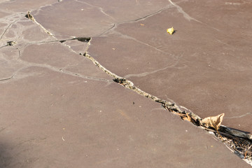 Broken brown tile floor