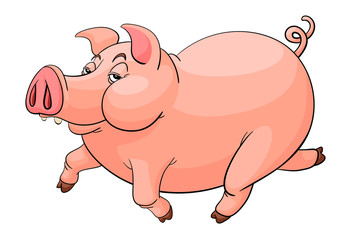 Pink pig on white