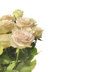 Rose Flower bouquet background.