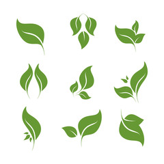 Leaves icon vector set isolated on white background. Various shapes of green leaves of trees and plants. Elements for eco and bio logos.