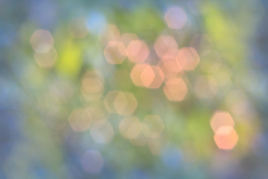 Abstract beautiful blurred hexagon bokeh from sunlight and green leaves tree in natural background