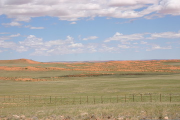 Fototapeta premium Duine 15