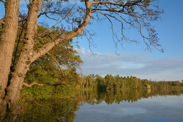 der Glabbacher Bruch,Teil der Krickenbecker Seen im Schwalm-Nette Naturpark,Niederrhein,Nordrhein-Westfalen,Deutschland