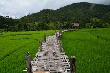 Fototapeta na wymiar Bamboo Bridge Pai Thaïlande - Thailand