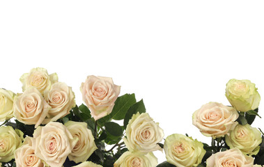 Rose Flower frame bouquet background.