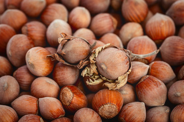 Two unpeeled hazelnuts lie on the background of other nuts.