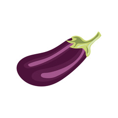Eggplant isolated on white Clipping Path vector illustration