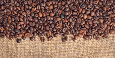 Fragrant Coffee Beans are piled on canvas. Panorama. Vintage background