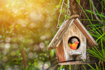 Old wooden birdhouse was hanging under big tree with green leaves background and sunset light