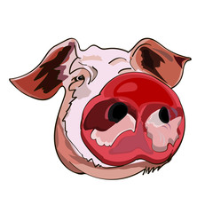 The image of the head of a pig, the symbol of the Chinese New Year, on an isolated background. Vector illustration