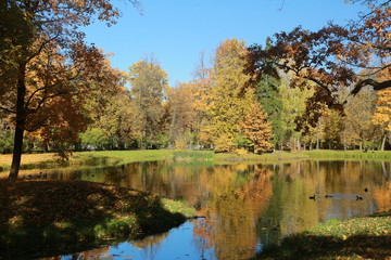 autumn in the park