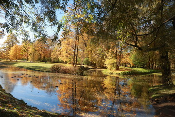autumn in the park