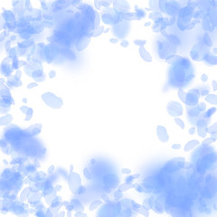 Dark blue flower petals falling down. Alluring rom