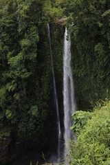 Fototapeta na wymiar Fuipisia Watterfall - Samoa