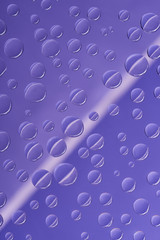 close-up view of transparent dew drops on purple background