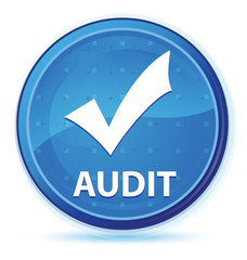 Audit (validate icon) midnight blue prime round button