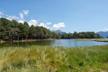 The bassa lake of oles in the Aran Valley