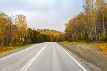 Fototapeta premium autumn view of the highway from the cab