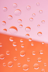 close-up view of transparent calm water drops on pink and orange background