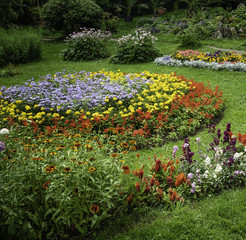 A Garden full of Flowers