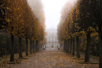Foggy autumn morning in Catherine Park, Pushkin, St. Petersburg, Russia