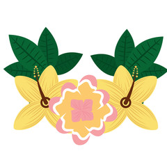 flowers plant leaves tropical summer