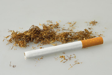 Cigarette and cut tobacco