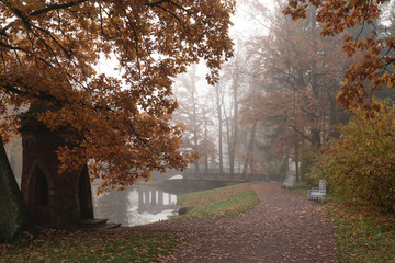 Foggy autumn morning in Catherine Park, Pushkin, St. Petersburg, Russia