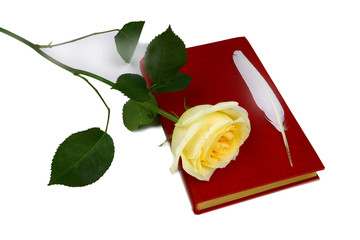 yellow rose, white feather and old book