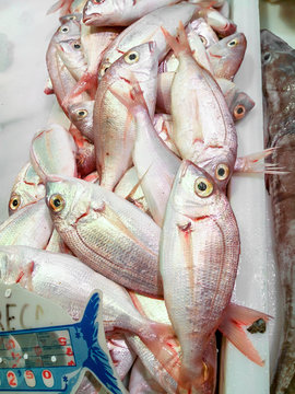 Fresh fish (Common pandora) in the market. Isla Crsitina, Huelva, Spain