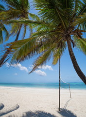 Obraz na płótnie Canvas Zanzibar, landscape sea, palms beach