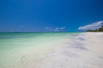 Zanzibar, landscape sea