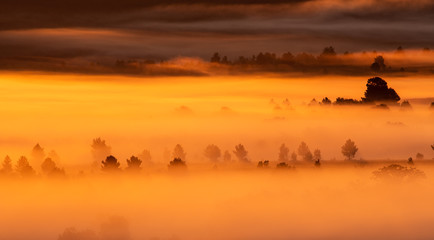 Fototapeta premium Foggy sunrise in the country with trees
