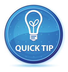 Quick tip (bulb icon) midnight blue prime round button