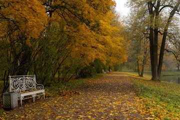 Foggy autumn morning in Catherine Park, Pushkin, St. Petersburg, Russia