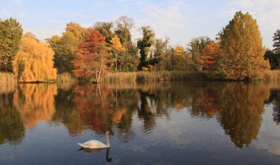 Herbstliche Parklandschaft