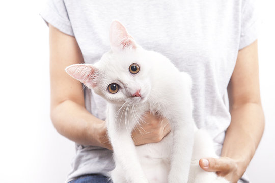 kucaktaki kedi
