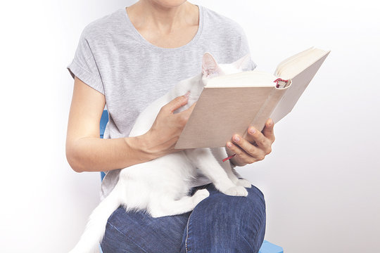  kitap okuyan kedi, 