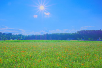 輝きに照らされて